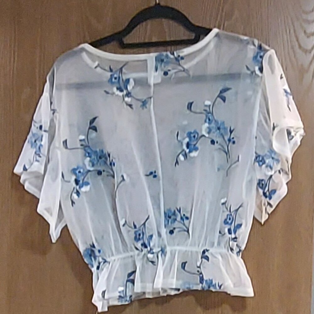 Kimcine Sheer Embroidered Top - Picture 2 of 5